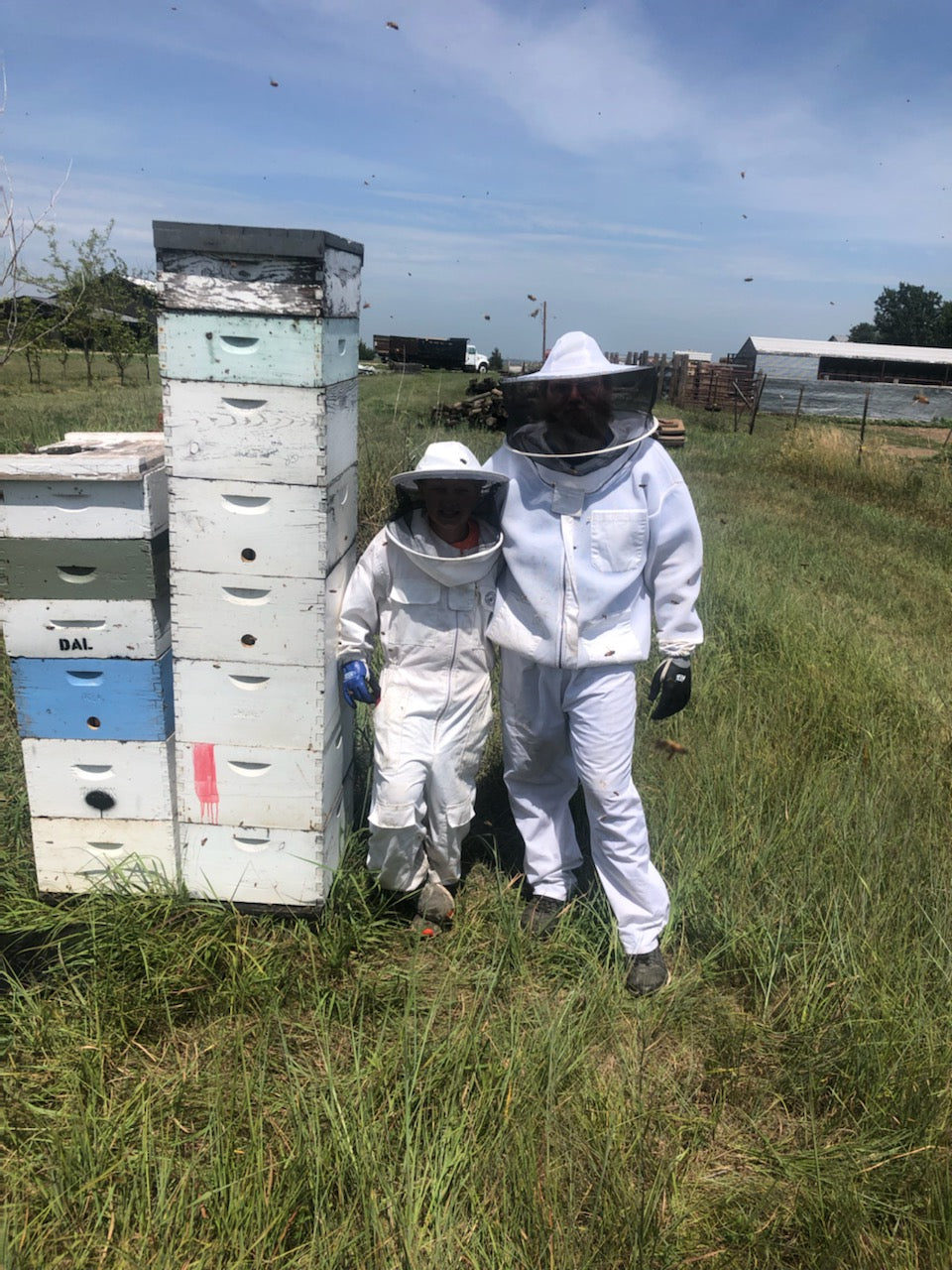 Online Course - Successful Beekeeping