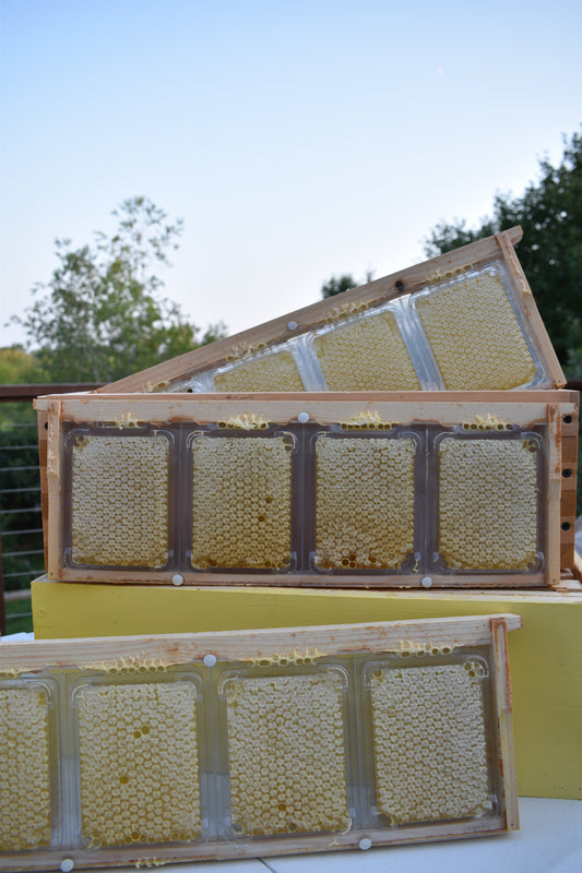 SimplKomb (local delivery ONLY)