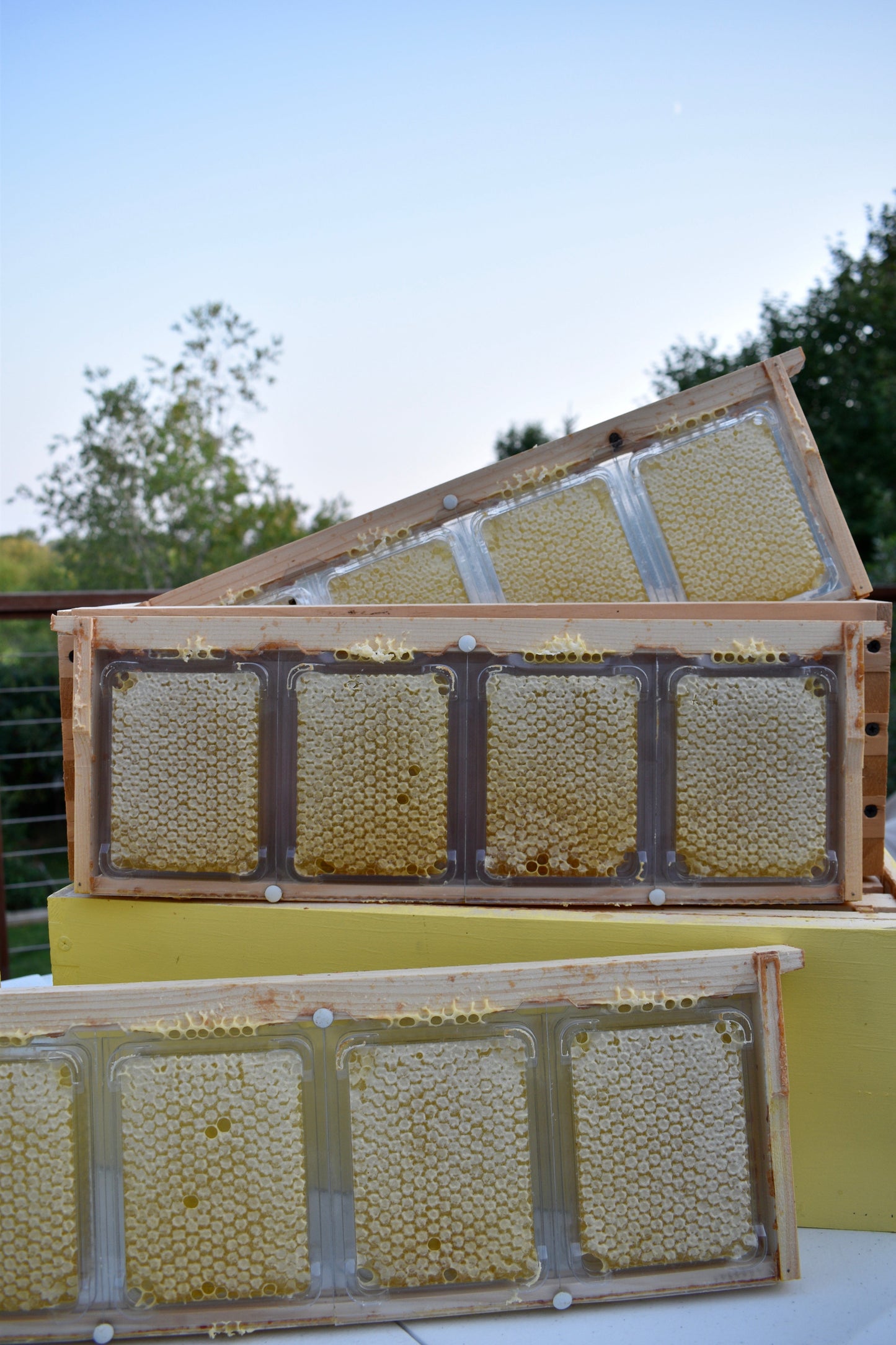 Simplkomb Single Pack (shipping)